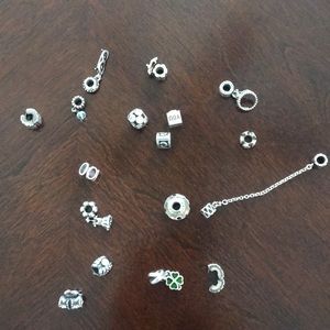 Pandora Charms